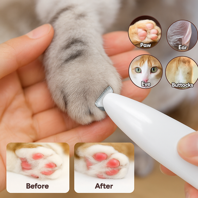 Tondeuse étanche pour chiens et chats avec lumière LED et lame large en acier inoxydable