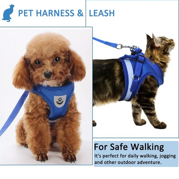 Harnais et laisse pour animaux de compagnie, bleu, pour chien et chat. Idéal pour la marche, le jogging et les aventures en plein air.