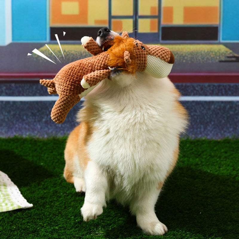 Chien mignon jouant avec une peluche lion sur gazon vert, devant un décor coloré. Jouet pour chien, peluche animale, scène ludique extérieure.