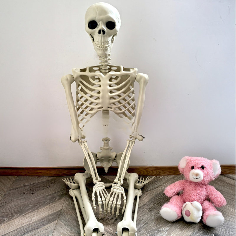 GhoulGuard | 170 cm boyutunda gerçekçi Cadılar Bayramı İskeleti - korkutucu ve hayaletli bir ev ve bahçe için taşınabilir bahçe dekorasyonu