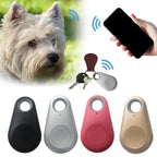Chien blanc avec traceur GPS, smartphone et porte-clés. Dispositif anti-perte Bluetooth pour animaux et objets. Accessoires en noir, argent, rose, or.