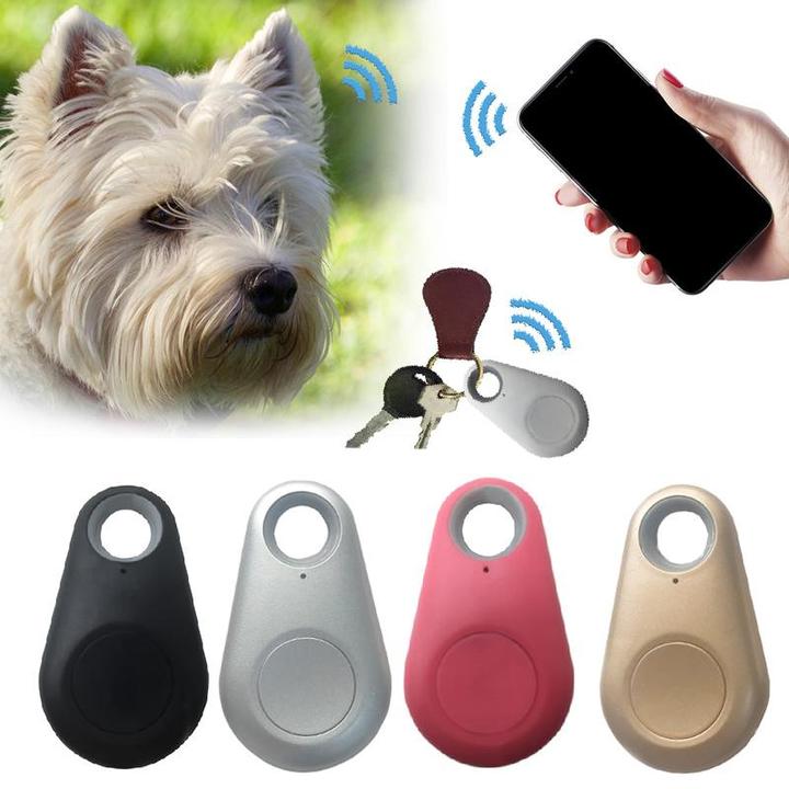 Chien blanc avec traceur GPS, smartphone et porte-clés. Dispositif anti-perte Bluetooth pour animaux et objets. Accessoires en noir, argent, rose, or.