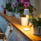 Lampe de table moderne éclairant des plantes en pot sur un rebord de fenêtre en bois, ambiance chaleureuse, fleurs violettes, décoration intérieure.