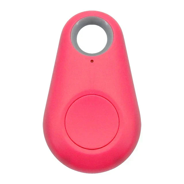 Traceur GPS pour animaux de compagnie