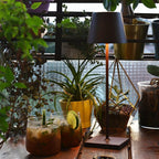Deux verres de cocktail mojito sur une table en bois, entourés de plantes vertes et d'une lampe moderne, créant une ambiance de jardin urbain.