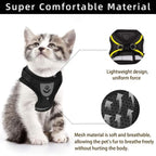 Chaton portant un harnais noir confortable, léger et respirant, idéal pour animaux. Design ergonomique, matériau en maille douce pour liberté de mouvement.