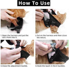 Guide d'utilisation d'un harnais pour chat. Étapes: enfiler, fermer le velcro, ajuster la boucle, attacher la laisse. Harnais noir sur chat roux.