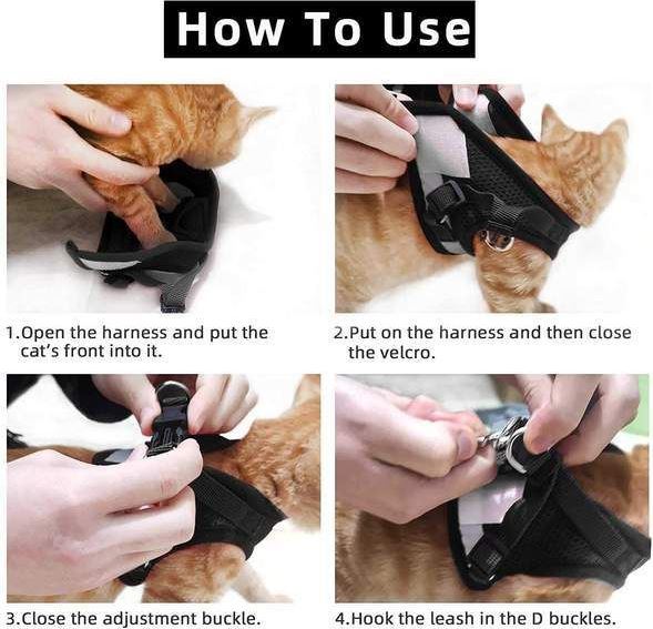 Guide d'utilisation d'un harnais pour chat. Étapes: enfiler, fermer le velcro, ajuster la boucle, attacher la laisse. Harnais noir sur chat roux.