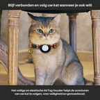 Chat, collier avec AirTag, assis sous une chaise en bois. Accessoire de suivi pour animaux, sécurité, localisation précise, tranquillité d'esprit.