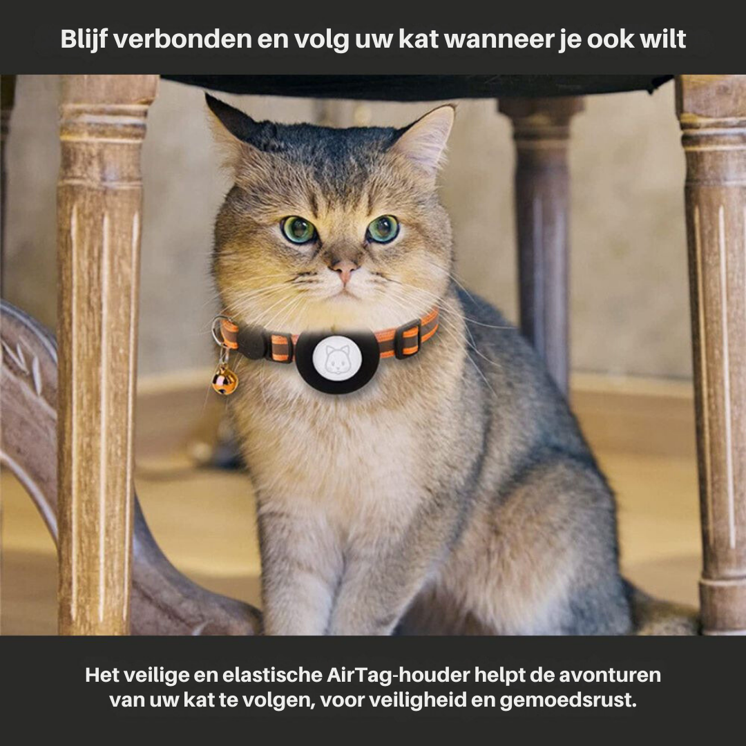 Chat, collier avec AirTag, assis sous une chaise en bois. Accessoire de suivi pour animaux, sécurité, localisation précise, tranquillité d'esprit.