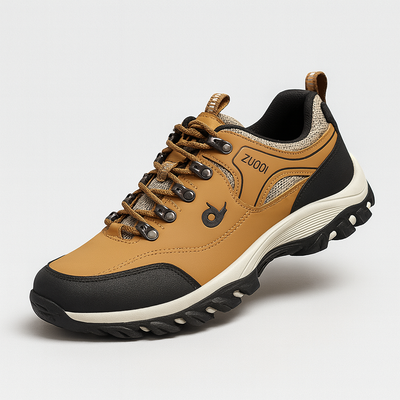  Hiking Shoes brown