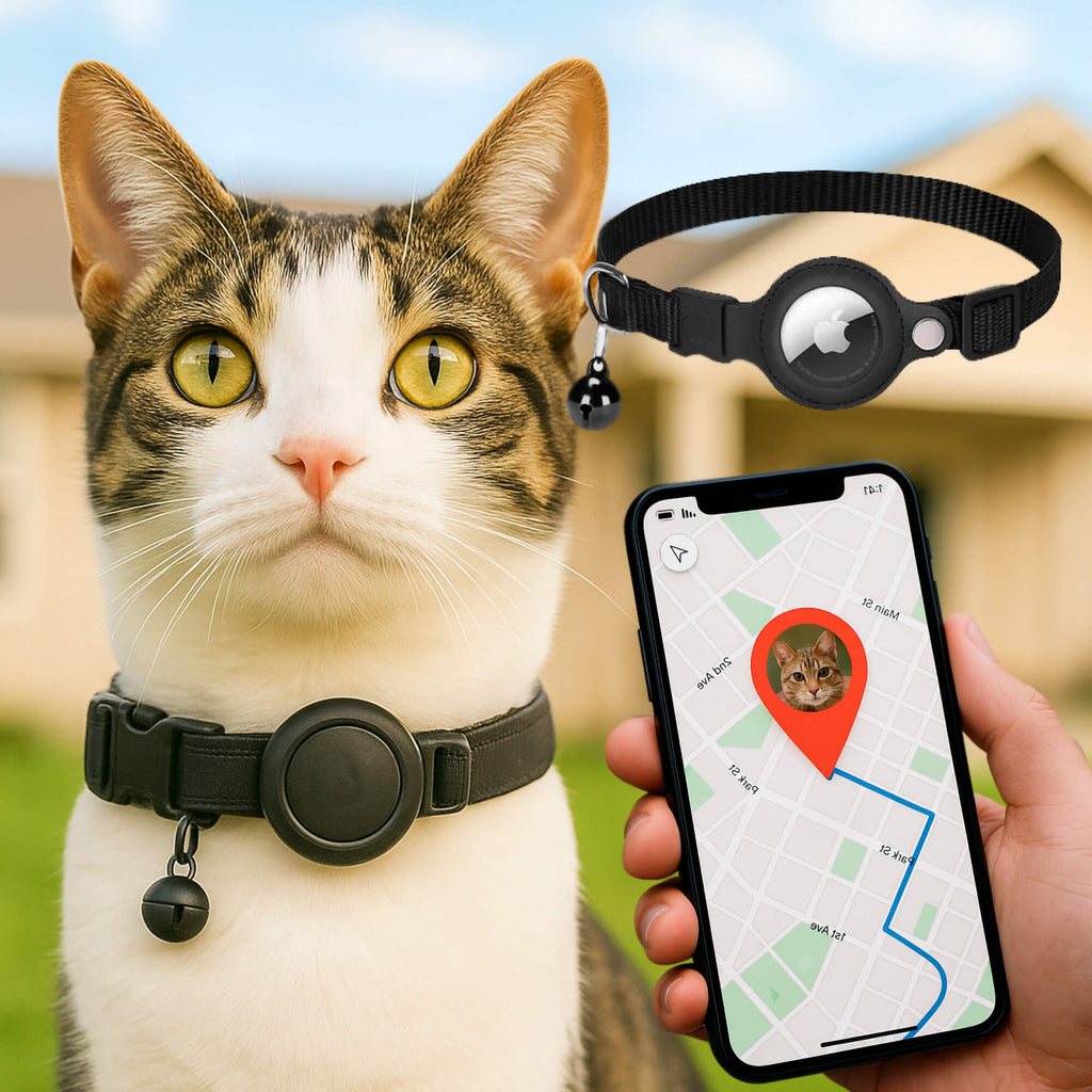 Chat, collier GPS, maison, suivi, localisation, application mobile, sécurité animale, technologie, AirTag, extérieur, géolocalisation, innovation.