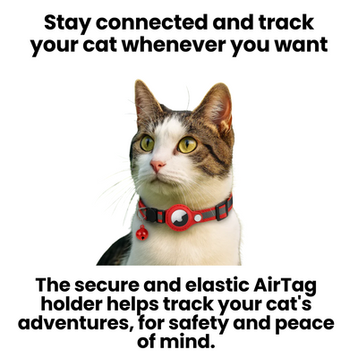 Collar GPS para gatos | Reflectante, seguro y listo para la aventura