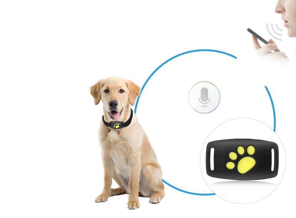 Chien portant un collier anti-aboiement intelligent avec commande vocale, technologie de détection sonore, et design patte jaune. Accessoire dressage canin.