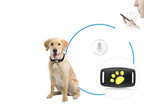 Chien portant un collier anti-aboiement intelligent avec commande vocale, technologie de détection sonore, et design patte jaune. Accessoire dressage canin.