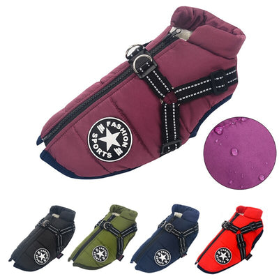 Veste d'hiver pour chiens
