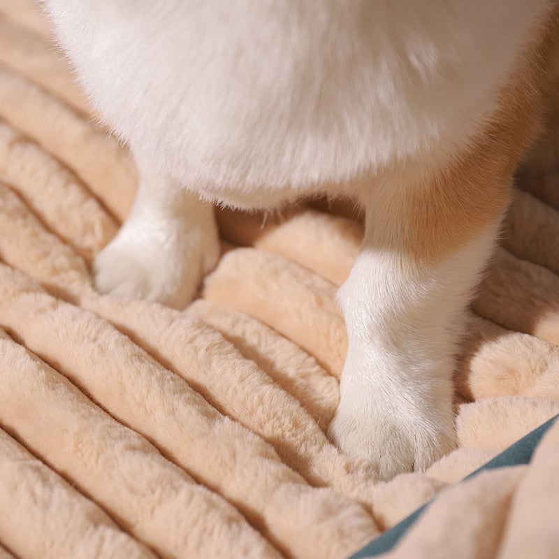 Cama para perros CalmCloud