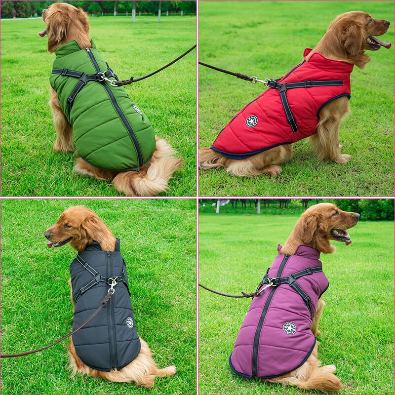 Veste d'hiver pour chiens