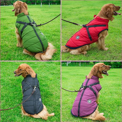 Veste d'hiver pour chiens