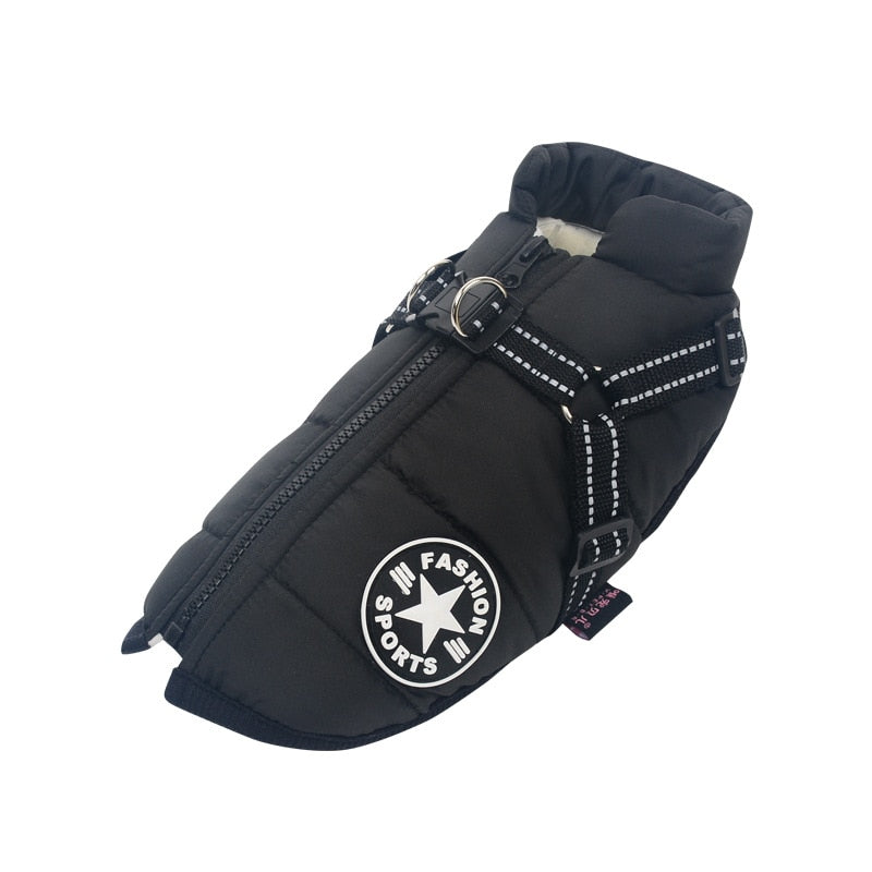Veste d'hiver pour chiens