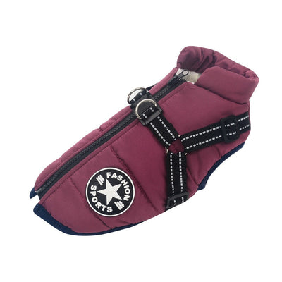Veste d'hiver pour chiens