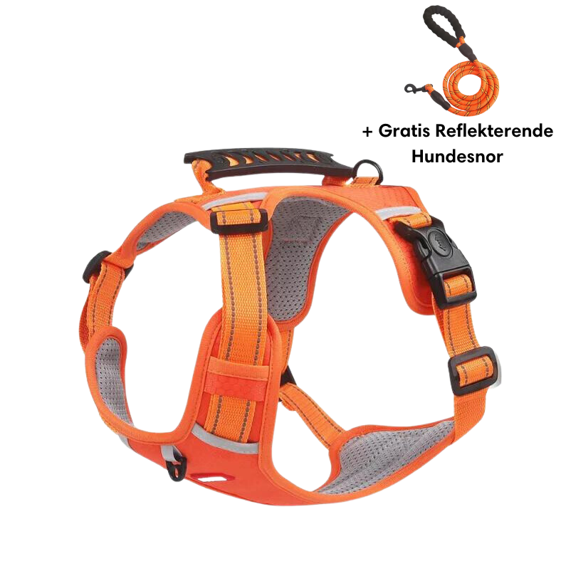 Harnais pour chien orange avec poignée, sangles réglables et laisse réfléchissante gratuite. Accessoire de sécurité pour promenade canine.
