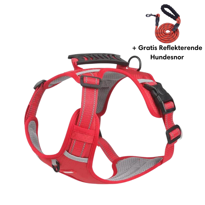 Harnais pour chien rouge avec poignée, ajustable et réfléchissant, accompagné d'une laisse gratuite. Accessoire de sécurité pour promenade canine.