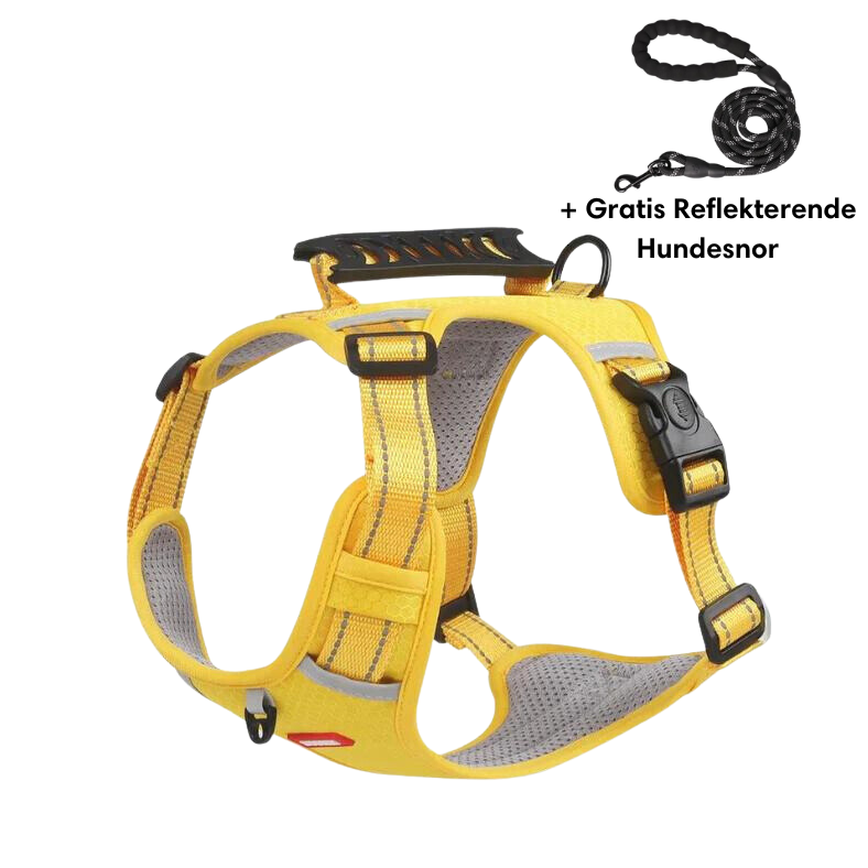 Harnais pour chien jaune avec poignée antidérapante, coutures réfléchissantes, boucle de sécurité, et laisse gratuite incluse. Accessoire pour promenade.