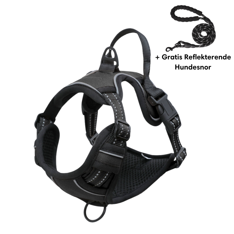 Harnais pour chien noir avec laisse réfléchissante gratuite, design ergonomique, ajustable, idéal pour promenades sécurisées et confortables.