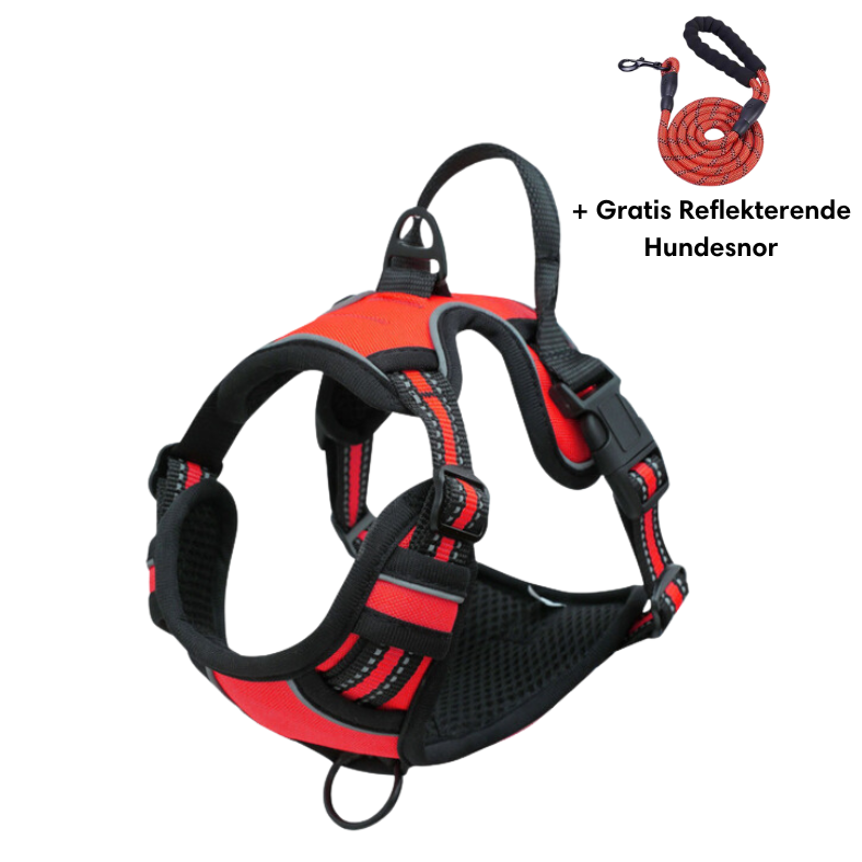 Harnais pour chien rouge et noir avec laisse réfléchissante gratuite, ajustable, confortable, idéal pour promenade et sécurité canine.