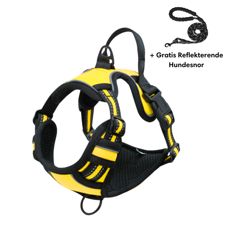Harnais pour chien jaune et noir avec laisse réfléchissante gratuite, ajustable et confortable, idéal pour promenades sécurisées et entraînement.