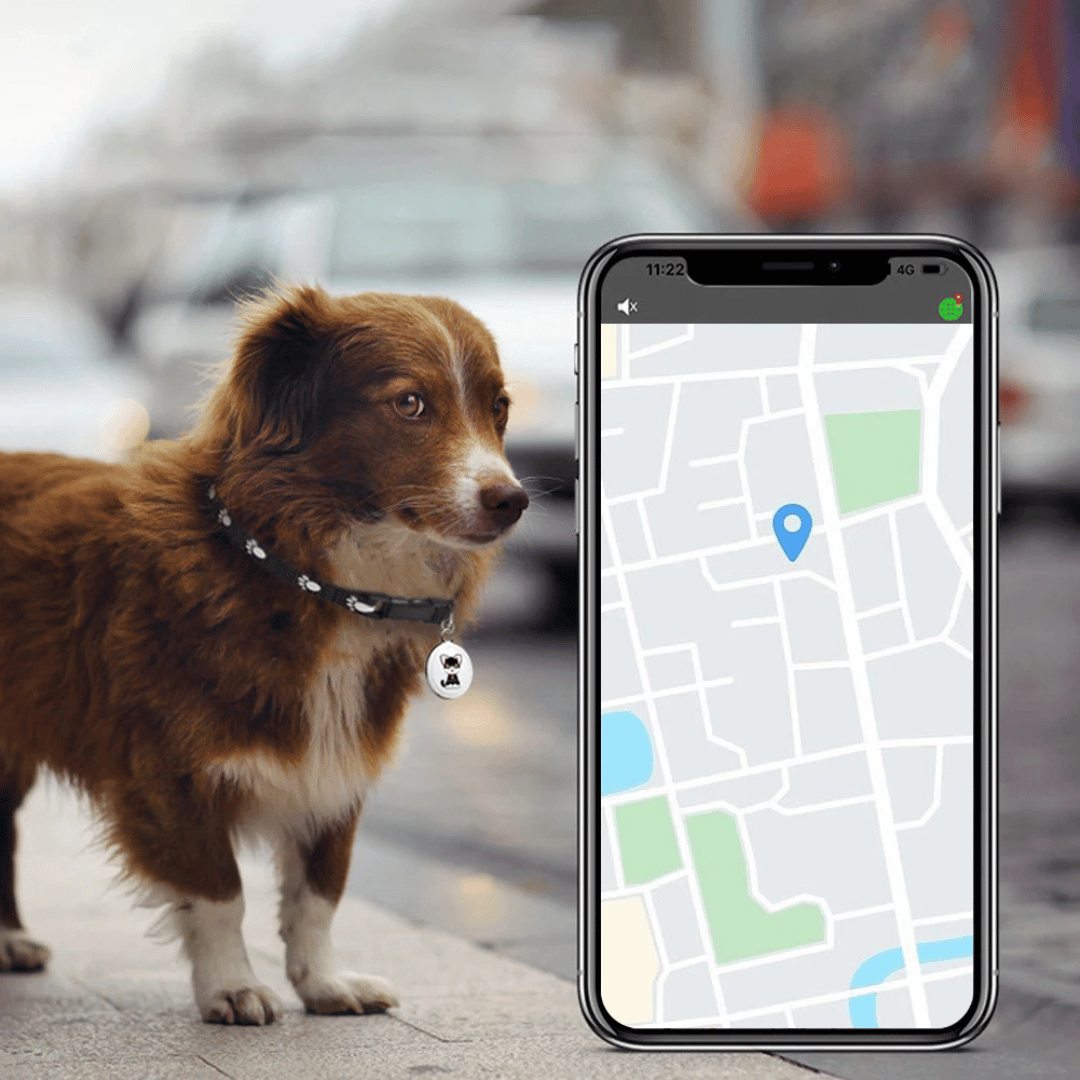NARA – Traceur GPS pour Animaux, Étanche & Léger