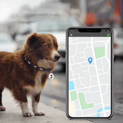 NARA – Traceur GPS pour Animaux, Étanche & Léger