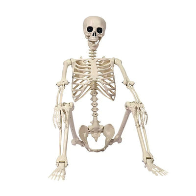 GhoulGuard | 170 cm boyutunda gerçekçi Cadılar Bayramı İskeleti - korkutucu ve hayaletli bir ev ve bahçe için taşınabilir bahçe dekorasyonu