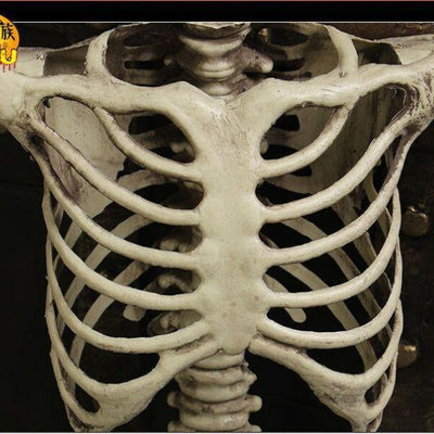 GhoulGuard | 170 cm boyutunda gerçekçi Cadılar Bayramı İskeleti - korkutucu ve hayaletli bir ev ve bahçe için taşınabilir bahçe dekorasyonu