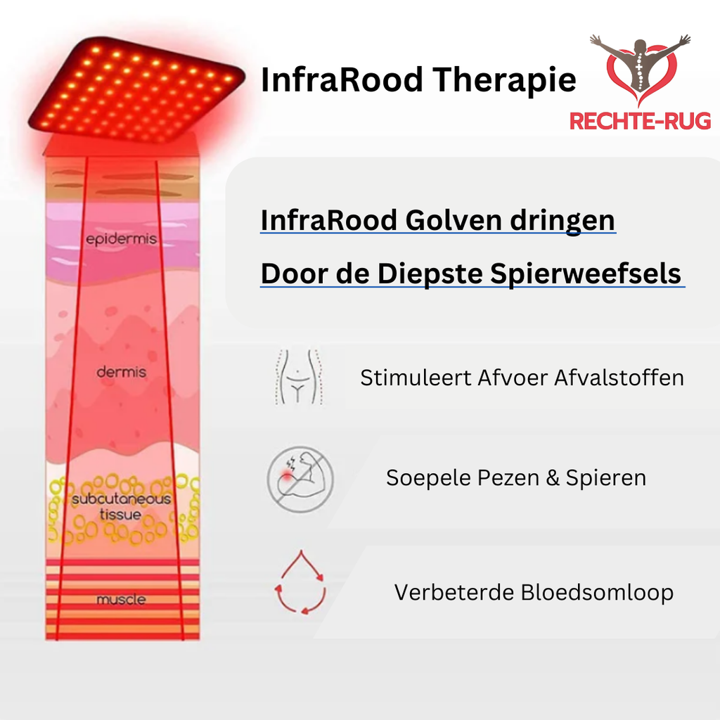 Thérapie infrarouge: illustration des couches de la peau avec lumière infrarouge pénétrant les tissus musculaires. Amélioration circulation sanguine.