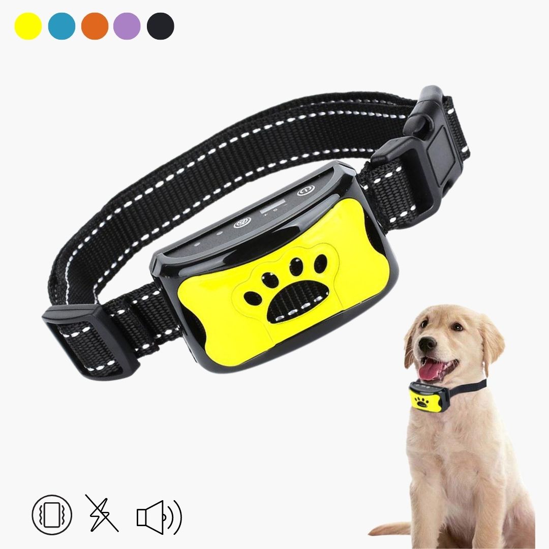 Collier anti-aboiement adapté aux animaux de compagnie
