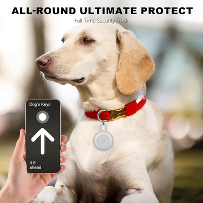 Ziggy Pet Tracker - Pro bezstarostná dobrodružství
