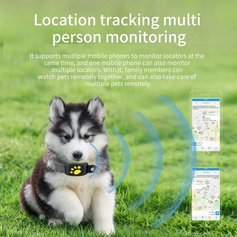 Chiot husky avec collier de suivi GPS, technologie de localisation, suivi à distance, application mobile, surveillance multi-personnes et animaux.