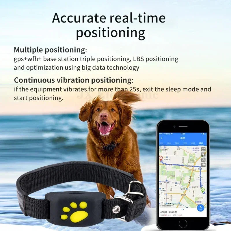 Collier GPS pour chien avec positionnement précis en temps réel, technologie de vibration continue, affiché avec smartphone et carte de localisation.