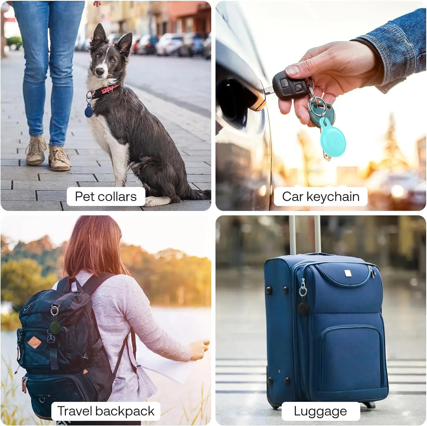 Ziggy Pet Tracker - Pro bezstarostná dobrodružství