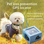 Chien blanc avec collier GPS, prévention perte animale. Boîte de localisateur GPS en avant-plan. Chargement magnétique, positionnement en temps réel.