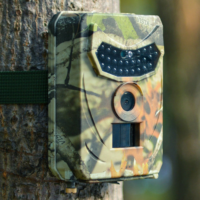 Caméra de chasse camouflage fixée à un arbre, utilisée pour la surveillance de la faune. Idéale pour observer les animaux en forêt.
