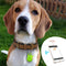 Rastreador GPS para mascotas - PawFinder
