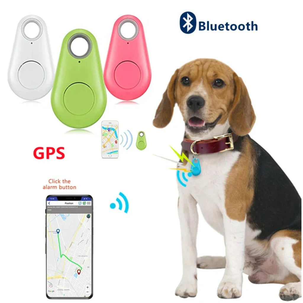 Traceur GPS Bluetooth pour chien, collier avec dispositif de localisation, application mobile affichant la position, couleurs blanc, vert, rose.