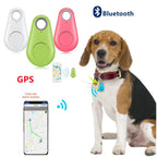Traceur GPS Bluetooth pour chien, collier avec dispositif de localisation, application mobile affichant la position, couleurs blanc, vert, rose.