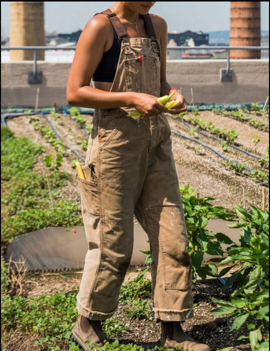 Femme en salopette marron travaillant dans un jardin urbain sur un toit, tenant un légume. Agriculture urbaine, culture durable, potager en ville.