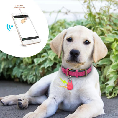 Traceur GPS pour animaux de compagnie