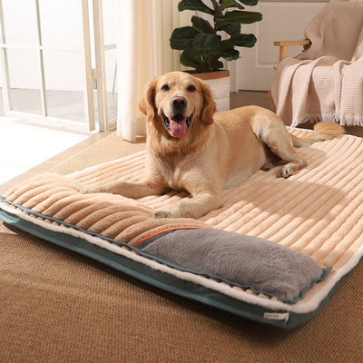 Cama para perros CalmCloud